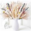 Dellyy Erba della Pampas Lunga 40~44 cm, Fiori Secchi per Decorazione Soggiorno e Tavolo del Matrimonio, Bouquet Decorativo da Casa (B)