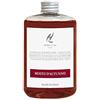 HYPNO CASA - Ricarica per Diffusori di Profumo d'Ambiente, 500ml. (Mosto d'Autunno)