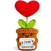 EQUIK PRODUCTS Regalo Maestra/Insegnante - Cuore all'Uncinetto "Ci vuole un grande cuore per far crescere piccoli sognatori" - Idea Regalo Fine Anno per Maestra, Maestro, Insegnanti o Educatrice