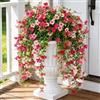 Aisamco Fiori sospesi artificiali per esterni, 4 pezzi di decorazioni di piante finte, fiore di seta finta resistente ai raggi UV con foglie di eucalipto per fioriera esterna cortile portico patio balcone