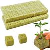 Cisolen 100 pezzi cubi di lana di roccia 2,5 x 2,5 x 2,5 cm Rockwool Cube, tappetino per la coltivazione di colture idroponiche, per piantine senza suolo, talee, piante clonate