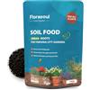 Florasoul® | Attivatore BIO per Terriccio | Rivitalizza Terra Esausta, con Riserva d'Acqua e Nutrienti | per Piante in Vaso, da Interno e Balcone | Urban Gardening