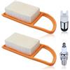 AUMEL Filtro aria 2 pezzi per Stihl BR600 BR500 BR550 con filtro a benzina Candela di accensione 42821410300 42821410300B soffiatore a fogli Filtri per tosaerba