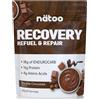 NATOO Recovery 600 grammi Vaniglia Ice Cream
