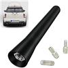 Adapter-universe Antenna corta per tetto Auto 10cm M5 16v Autoradio | Acquisti Online su