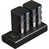 DSTE DE DSTE 2 batterie di ricambio NP-F750 + caricatore USB doppio con display LCD compatibile con NP-F730 NP-F770 CCD-SC5 CCD-TRV80PK DCR-TRV820 CCD-SC55 CCD-TRV81 DCR-TRV820K CCD-SC65 CCD-TRV815 DCR-TRV9