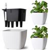 T4U Set da 3 Vaso Autoirriganti 17,5 cm Quadrati con Indicatore dell'Acqua, Vaso per Piante da Interno per Principianti e Persone Impegnate, Vasi per Edera e Pothos, Uso Interno ed Esterno (Bianco)