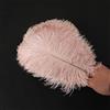 Duories 10 piume di struzzo naturali, 25 - 30 cm, per fai da te, accessori per acchiappasogni, decorazione per la casa, costumi, decorazione da tavolo, matrimoni, feste, cappelli, vestiti, rosa antico