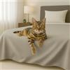 Byour3 - Copriletto in Cotone Misto ORGANICO Matrimoniale Letto Singolo Piazza e Mezza Coperta Pesante Lavabile Teli Arredo Multiuso Copritutto GrandFoulard Copridivano (Zenzero, Singolo)