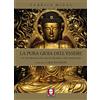 LiNDAU La pura gioia dell'essere. Un'introduzione alla vita del Buddha e alla meditazione