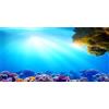 MIRRORANG 120x50cm Acquario Sottomarino Sfondo Sole Blu Mare Barriera Corallina Mondo Subacqueo Acquario Poster Sfondo
