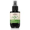 Green Pharmacy Birch Buds & Castol Oil Care Serum 100 ml