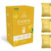 Body Restore Dawn 3 pz