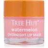Tree Hut Watermelon Lip Mask 17 g