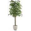 MAIA SHOP Ficus artificiale 150 cm, pianta finta da interno con tronco naturale, albero decorativo realistico per casa ufficio hotel