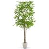 MAIA SHOP Bambù artificiale 210 cm Minimal, pianta finta grande da interno iperrealistica, albero decorativo elegante per casa ufficio e hotel