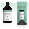 Nuova Astrum ARTIGLIO DEL DIAVOLO 250 ML ASTRUM