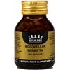 Aessere BOSWELLIA SERRATA 100 CAPSULE