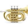 Classic Cantabile Brass TT-500 Tromba Tascabile in Sib Ottone - Tromba formato tascabile - Ottone verniciato - Inclusi bocchino e custodia