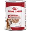 ROYAL CANIN ITALIA SpA Royal Canin Medium Ageing Patè per Cani Anziani 410 g