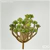 EDG Enzo De Gasperi Succulenta Pick H 14 Cm Light Green - Pianta Artificiale Decorativa Realistica Design Moderno