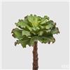 EDG Enzo De Gasperi Succulente West Ramo H 36 Cm Light Green - Pianta Artificiale Decorativa Realistica Design Moderno