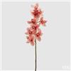 EDG Enzo De Gasperi Orchidea Cymbidium H 90 Cm Rosa