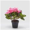 EDG Enzo De Gasperi Pianta Artificiale Ciclamino con Foglie e Vaso H 32 Cm Pink - Pianta Decorativa Realistica Design Moderno