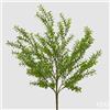 EDG Enzo De Gasperi Pianta Artificiale Bosso Cespuglio H 57 Cm Verde - Pianta Decorativa Realistica Design Moderno