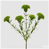 EDG Enzo De Gasperi Pianta Artificiale Dianthus Cespuglio x5 H 44 Cm Light Green - Pianta Decorativa Realistica Design Moderno