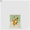 EDG Enzo De Gasperi Quadro Frutta Rettangolare 40 x 30 Cm Verde Mix - Decorazione Parete Cucina Design Moderno
