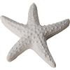 ETM Gesso Stella di Mare Bomboniera 4 Cm Bianco 12 Pz