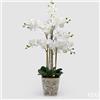 EDG Enzo De Gasperi Orchidea Phalaenopsis x8 con Bocciolo e Vaso Pianta Artificiale H 90 Cm Bianco