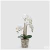 EDG Enzo De Gasperi Orchidea Phalaenopsis x3 con Bocciolo e Vaso Pianta Artificiale H 65 Cm Bianco