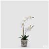 EDG Enzo De Gasperi Orchidea Phalaenopsis x2 con Bocciolo e Vaso Pianta Artificiale H 60 Cm Bianco