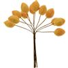 ETM Natura Limone Addobbo Bomboniera 2,5 Cm Giallo 12 Pz