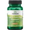SWANSON Lactobacillus Gasseri 3 miliardi di CFU 60 Pc