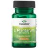 SWANSON L. Plantarum Probiotico 10 miliardi di CFU 30 Pc