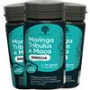 RedMoringa ENERGIA Tribulus Maca e Moringa 180 Capsule 3 pz Capsule