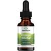 Swanson Health Products SWANSON Estratto di Ginkgo Biloba 29,6 ml