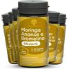 RedMoringa CELLULITE Bromelina 5000 GDU Ananas e Moringa 360 Capsule 6