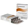NAMED Srl Dysbiosan 40 compresse pascoe - Named - 901172647