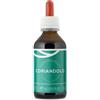 SPAZIO ECOSALUTE Srl Coriandolo tintura officinale 100 ml - - 930586464