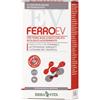 ERBA VITA GROUP SpA Ferro ev retard 30 compresse gastroresistenti - ERBA VITA - 982283018