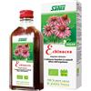 SALUS HAUS Gmbh & Co KG Echinacea succo 200 ml bio - - 921897043