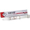 DDFARMA Srl Visvit pasta os siringa 15 g - VISVIT - 934322797