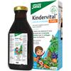 SALUS HAUS Gmbh & Co KG Kindervital fruity 250 ml - SALUS HAUS - 977549221