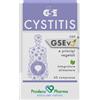 PRODECO PHARMA Srl Gse cystitis 60 compresse - GSE - 901575478