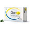 BIONATIVA SpA Biofta citinerv plus 30 perle - BIODUE - 979214691