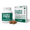INNOVET ITALIA Srl Condrostress mobility 60 soft chews - CONDROGEN - 989362621